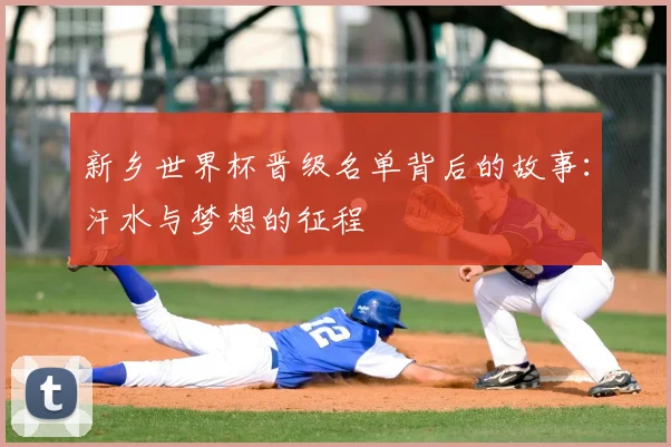 新乡世界杯晋级名单背后的故事：汗水与梦想的征程