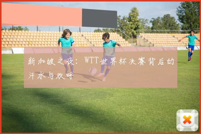 新加坡之夜：WTT世界杯决赛背后的汗水与欢呼