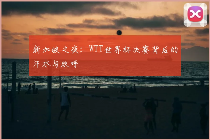 新加坡之夜：WTT世界杯决赛背后的汗水与欢呼