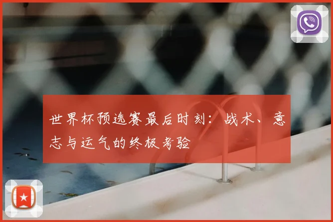 世界杯预选赛最后时刻：战术、意志与运气的终极考验