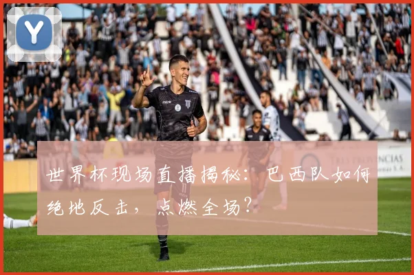 世界杯现场直播揭秘：巴西队如何绝地反击，点燃全场？