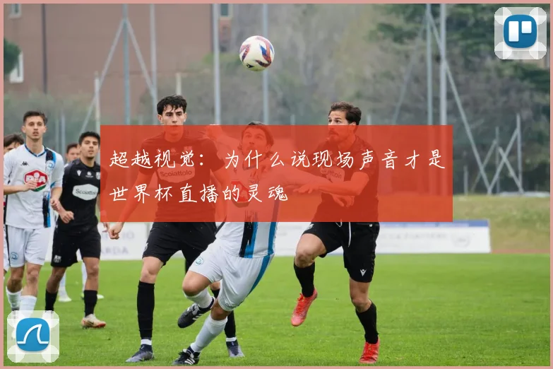 超越视觉：为什么说现场声音才是世界杯直播的灵魂
