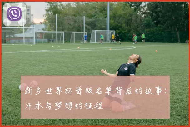 新乡世界杯晋级名单背后的故事：汗水与梦想的征程