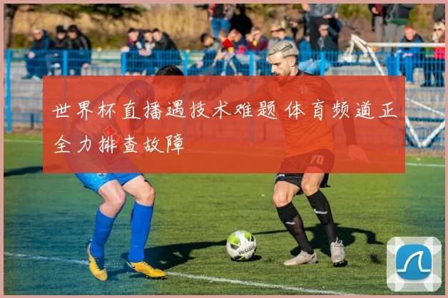 世界杯直播遇技术难题 体育频道正全力排查故障